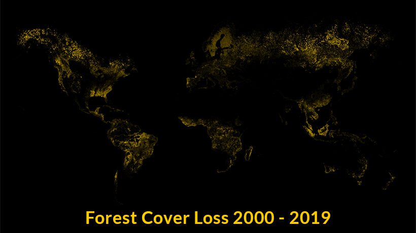 Deforestation between 2000-2019